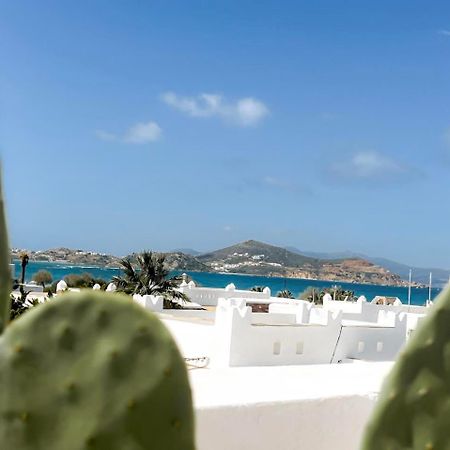 Naxos City Sea View Casa 아파트 외부 사진