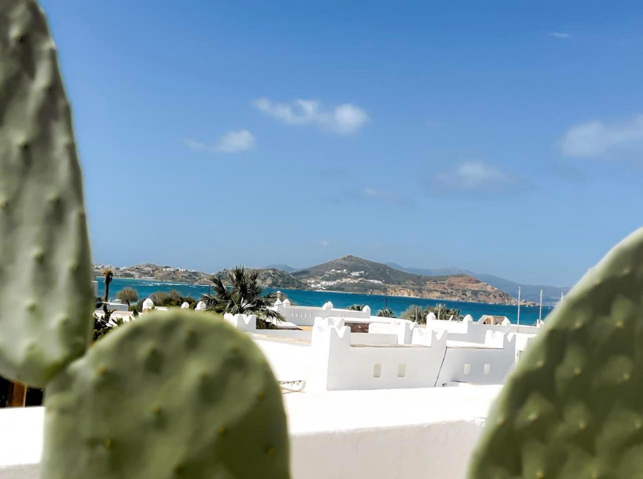 Naxos City Sea View Casa 아파트 외부 사진